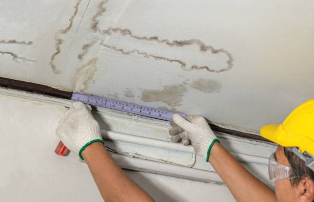 Reliable Flood Cleanup contractor in Ridgely, TN by Water Damage Irwin